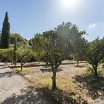 New! Quinta De Zanao House Palmela