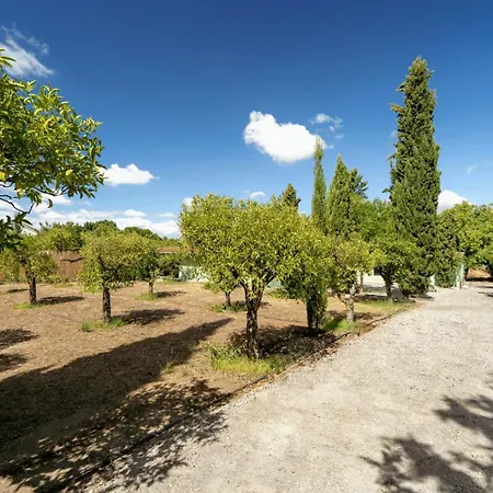 New! Quinta De Zanao House Palmela
