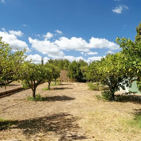New! Quinta De Zanao House Palmela