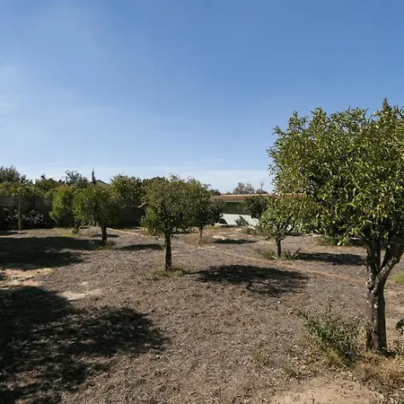 Willa New! Quinta De Zanao House